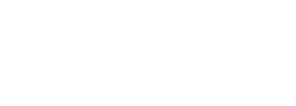 波粒二象 WAVE-PARTICLE DUALITY